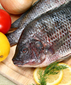 Whole Tilapia Fish
