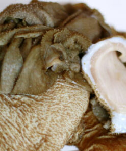 Beef Tripe (Matumbo)