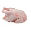 fresh-broiler-chicken