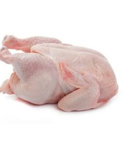 fresh-broiler-chicken