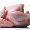fresh-broiler-chicken