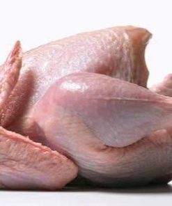 fresh-broiler-chicken