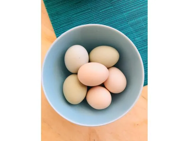 Kienyeji eggs kienyeji-eggs