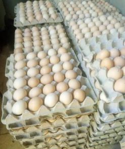 kienyeji eggs tray