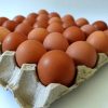 grade eggs