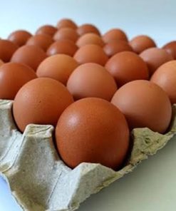 grade eggs