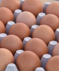 Fresh Farm Grade Eggs (Tray of 30)