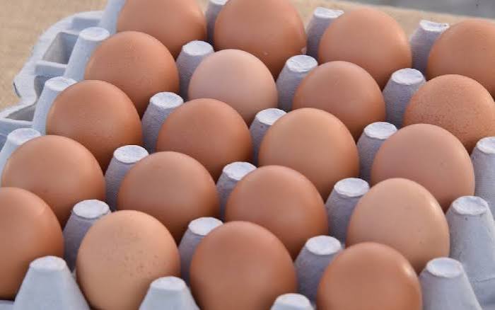 grade eggs